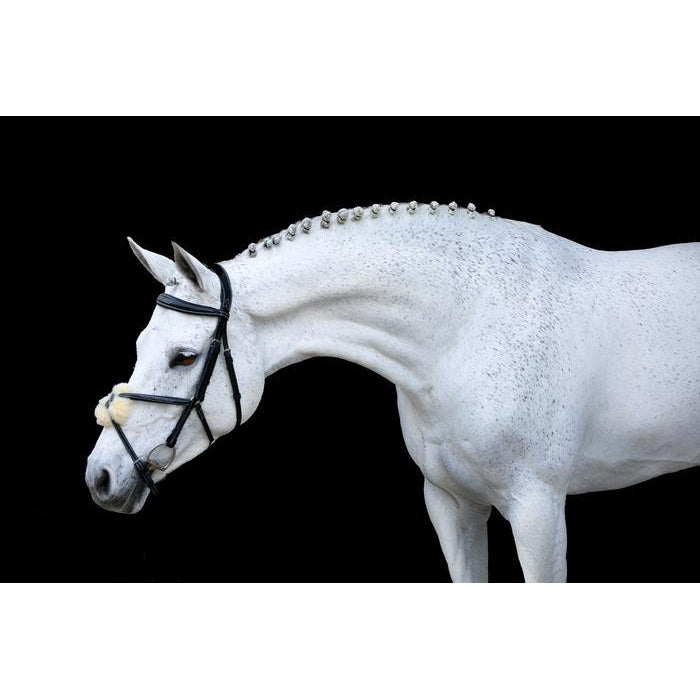 Ava Grackle Bridle (With Sheepskin) (No reins)