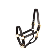 Load image into Gallery viewer, Premium 1&quot; Leather Show Halter