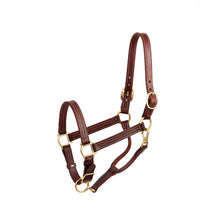 Load image into Gallery viewer, Premium 1&quot; Leather Show Halter