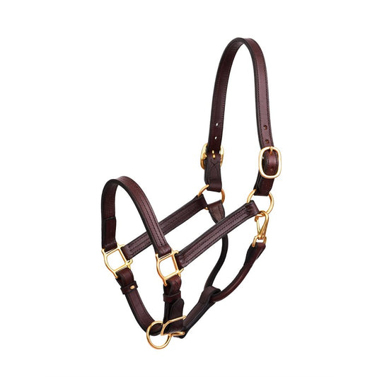 Premium 1" Leather Show Halter - Havana/Brass/Full Size
