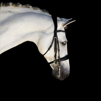 Audrey Black Italian Leather Bridle (Double) (No reins)