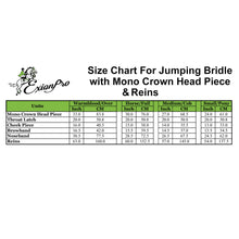 Load image into Gallery viewer, Fancy Stitch Padded Hanoverian Bridle (Convertible)