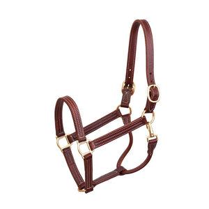 Professional Leather Show Halter