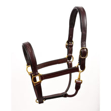 Load image into Gallery viewer, Fancy Stitched Leather Halter