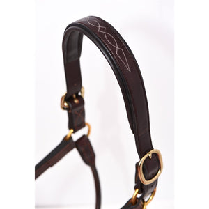 Fancy Stitched Leather Halter w/plate