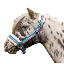 Load image into Gallery viewer, Funny Horses Shetland Pony Fleece Halter