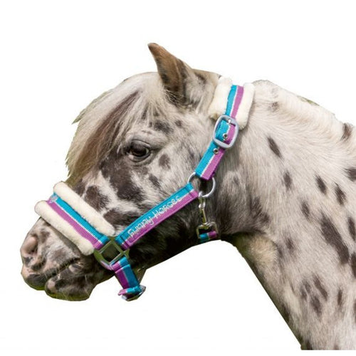 Funny Horses Shetland Pony Fleece Halter