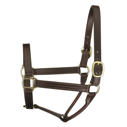 Premium Leather Track Style Show Halter