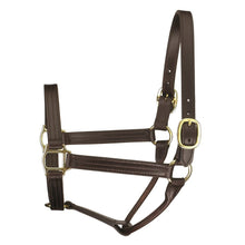 Load image into Gallery viewer, Premium Leather Track Style Show Halter