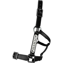 Load image into Gallery viewer, Black PVC Halter - Silver Fittings with Engraved Horse Nameplate