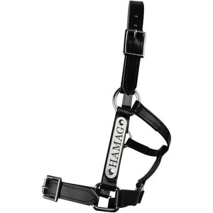 Black PVC Halter - Silver Fittings with Engraved Horse Nameplate