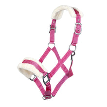 Load image into Gallery viewer, Magenta Nylon Padded Halter