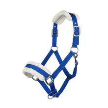 Load image into Gallery viewer, Royal Blue Nylon Padded Halter
