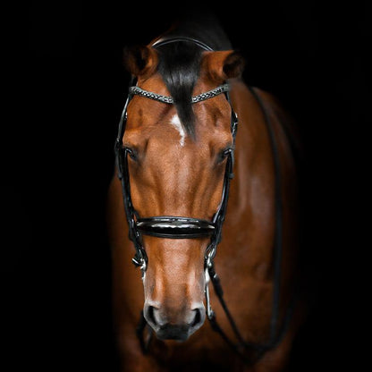 Audrey Black Italian Leather Bridle (Double) (No reins)