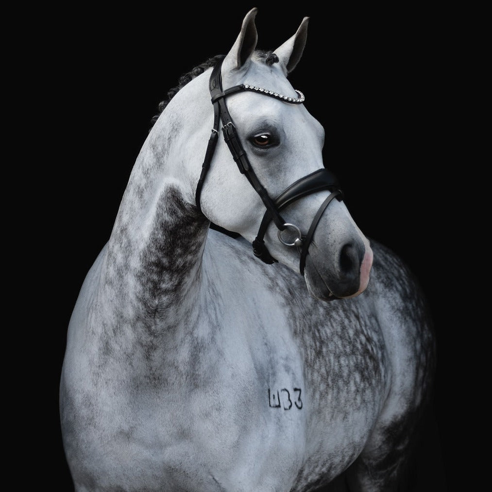 Abigail Black Italian Leather Bridle (No reins)