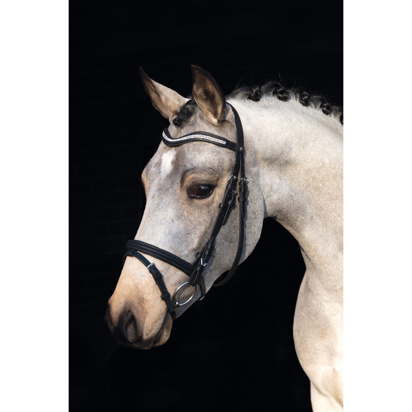 Little Star Bridle