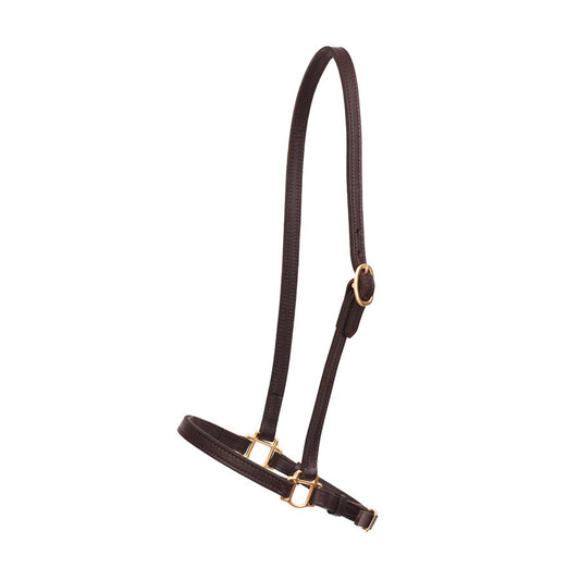 3/4" Havana Leather Grooming Halter