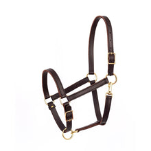 Load image into Gallery viewer, 7/8&quot; Leather Value Work Halter