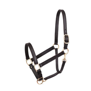 1" Leather Turnout Halter