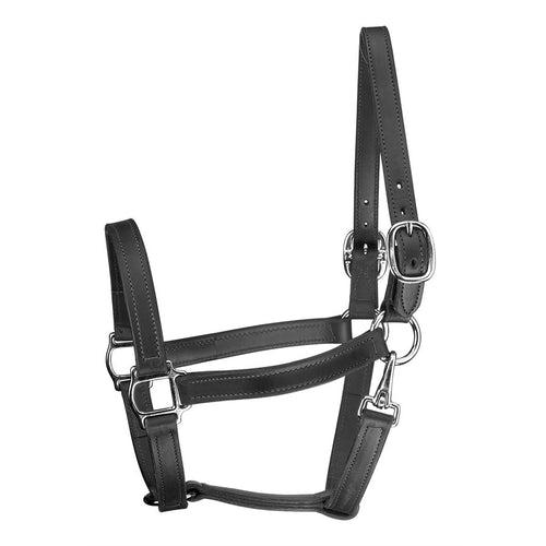 Track Style Leather Turnout Halter w/snap