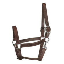 Load image into Gallery viewer, Track Style Leather Turnout Halter w/snap