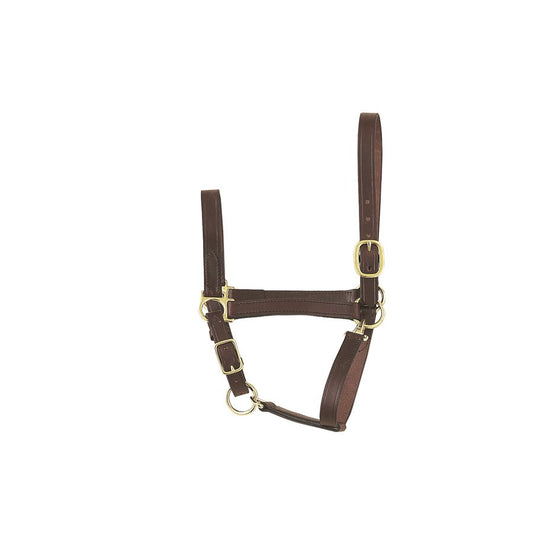 Economy Leather Halter