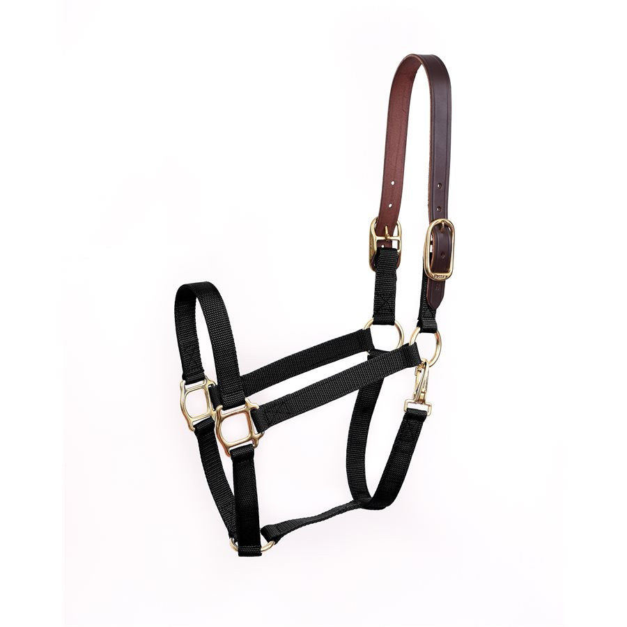 Economy Safety Halter