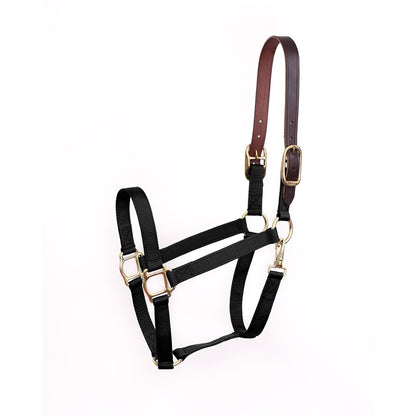 Economy Safety Halter