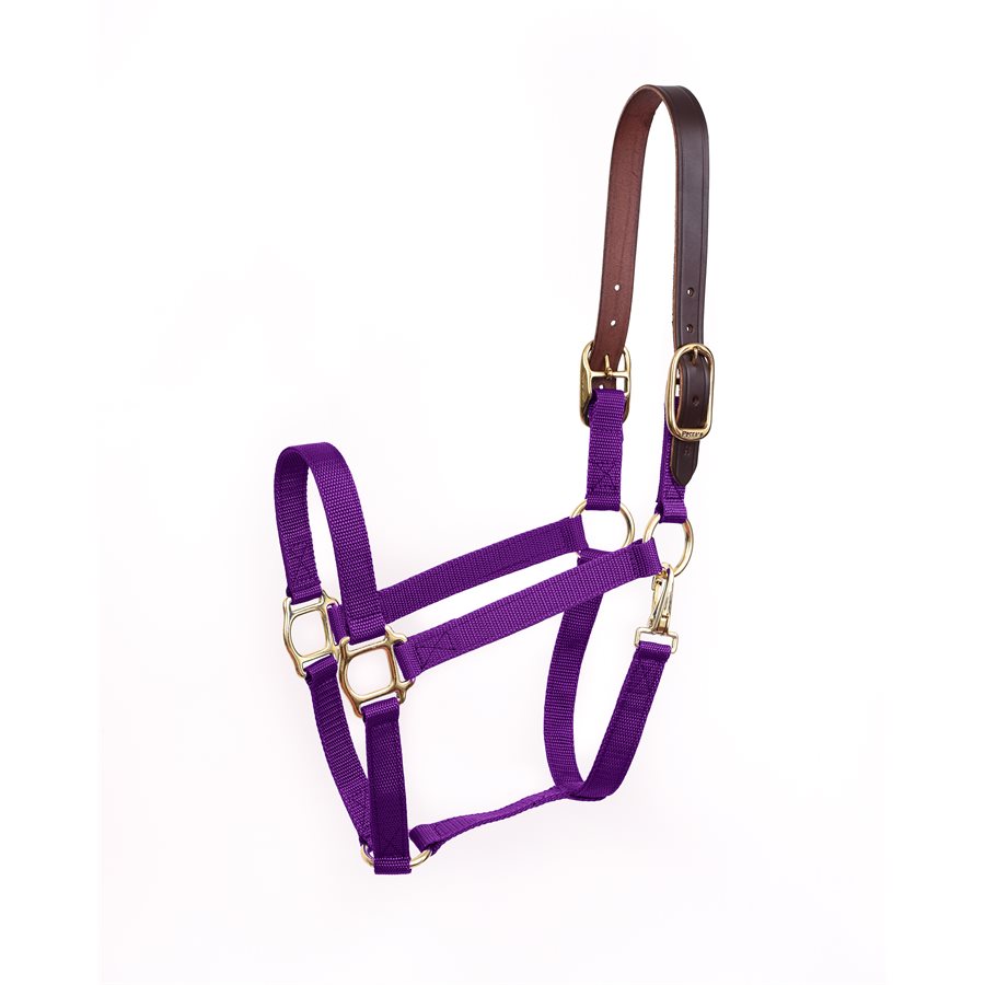 Economy Safety Halter