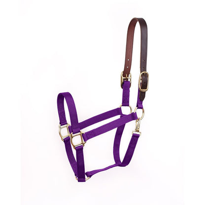 Economy Safety Halter