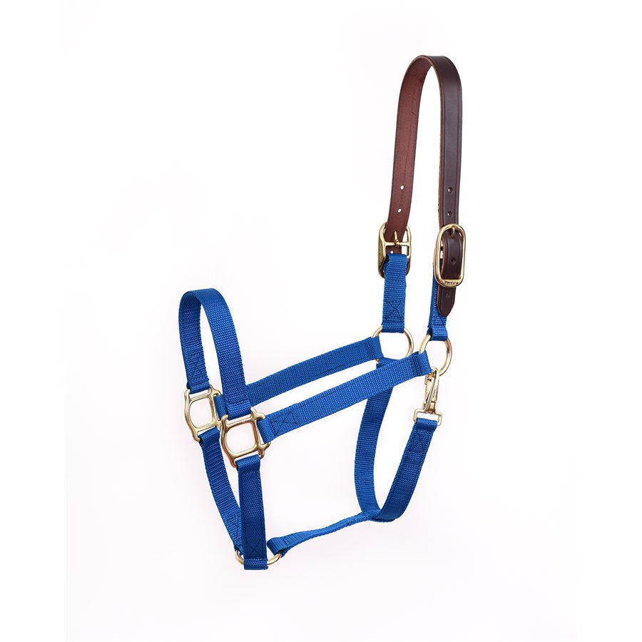 Economy Safety Halter