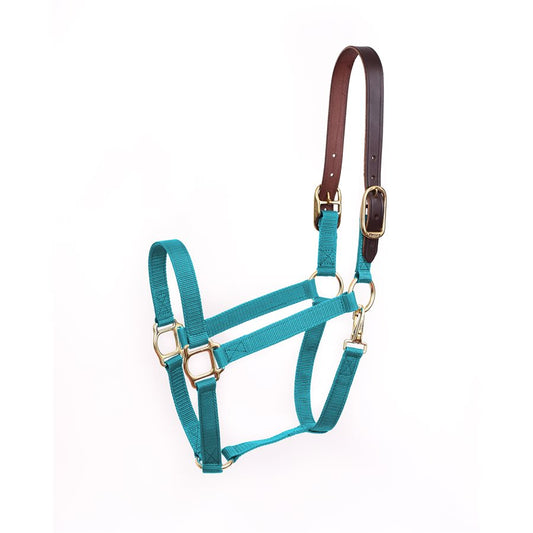 Economy Safety Halter