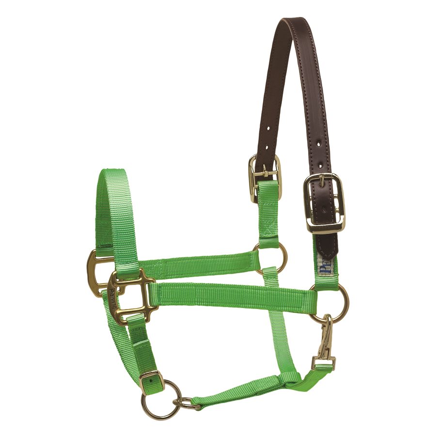 Premium Nylon Safety Halter