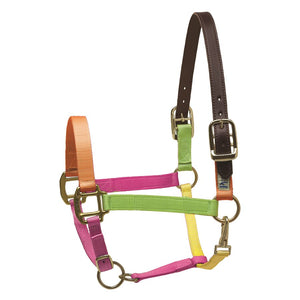 Premium Nylon Safety Halter