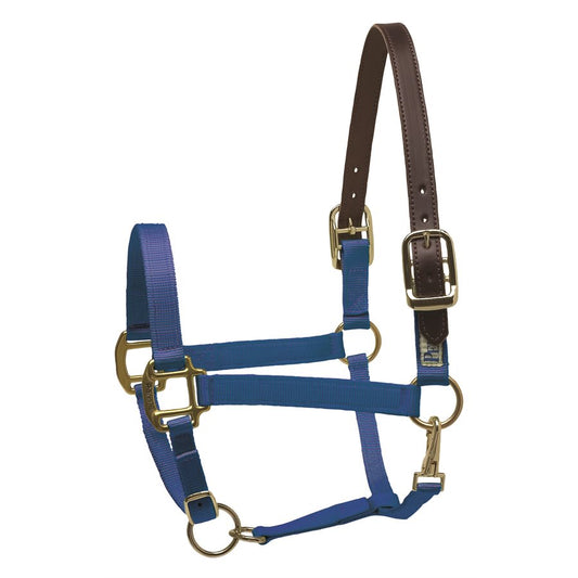 Premium Nylon Safety Halter - Navy Mini A