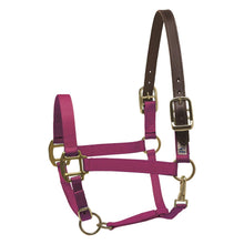 Load image into Gallery viewer, Premium Nylon Safety Halter