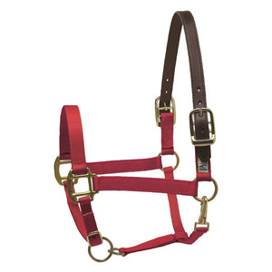 Premium Nylon Safety Halter