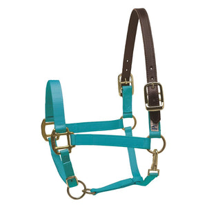 Premium Nylon Safety Halter