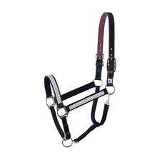 Load image into Gallery viewer, Ribbon Safety Halter
