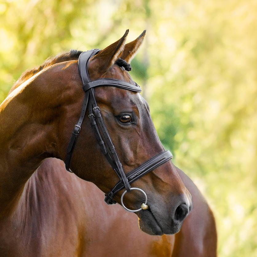 Milan Italian Leather Bridle (Convertible) (No reins)