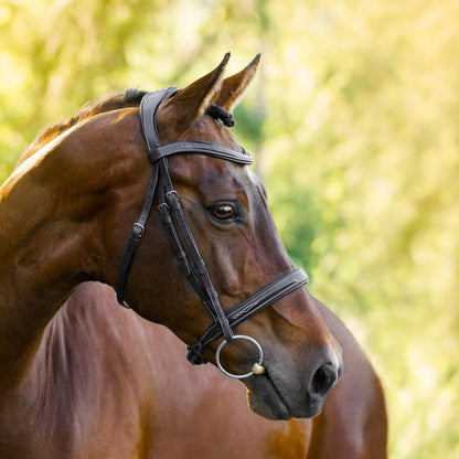 Milan Italian Leather Bridle (Convertible) (No reins)