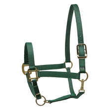 Load image into Gallery viewer, Hunter Green Nylon Superhalter - Cob Size - IN STOCK