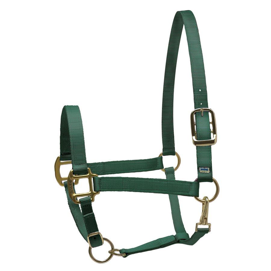 Hunter Green Nylon Superhalter - Cob Size - IN STOCK