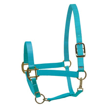 Load image into Gallery viewer, Turquoise Nylon Superhalter