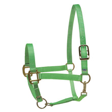 Load image into Gallery viewer, Lime Green Nylon Superhalter