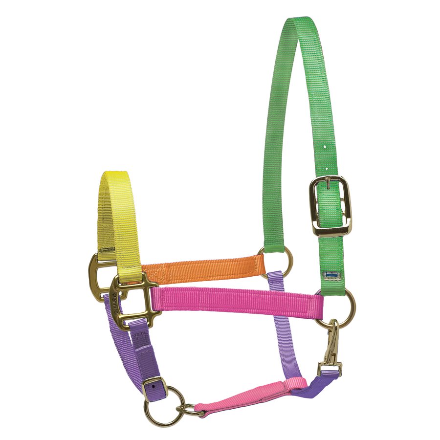 Nylon Superhalter