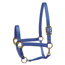 Load image into Gallery viewer, Royal Blue Nylon Superhalter