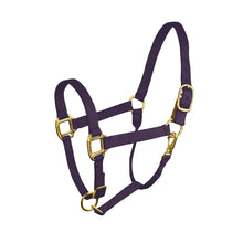Load image into Gallery viewer, Nylon Stock Halter w/safety tab
