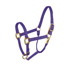 Load image into Gallery viewer, Nylon Stock Halter w/safety tab
