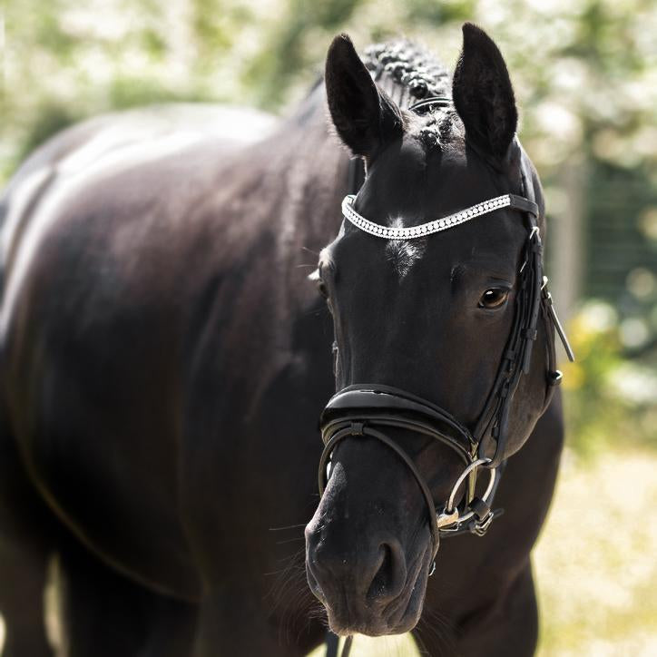 Amie Rolled Italian Leather Bridle (Hanoverian) (No reins)